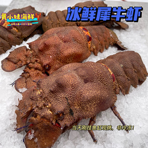 冰鲜犀牛虾缅甸野生海捕琵琶虾新鲜皮皮虾巨齿虾500g