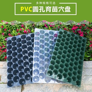 100孔育苗穴盘.营养钵.育苗钵盘.西瓜育苗辣椒玉米蔬菜烟草育苗盘
