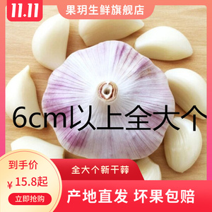 6cm特大干大蒜头2/5斤低价包邮农家自种土蒜干蒜头紫皮白皮大蒜头