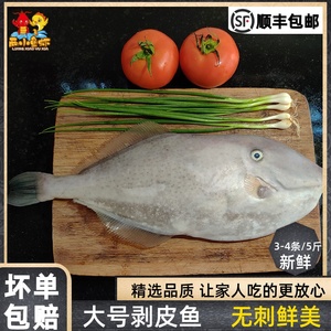 大号剥皮鱼新鲜冷冻扒皮鱼马面鱼牛鱼整箱冻货耗儿鱼特大号顺丰包