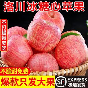 延安洛川苹果产地直销陕西红富士苹果水果正宗特一级精品新鲜应季