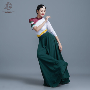 藏族舞蹈服我的九寨民族舞艺考级女练习裙新款表演出服藏式长裙