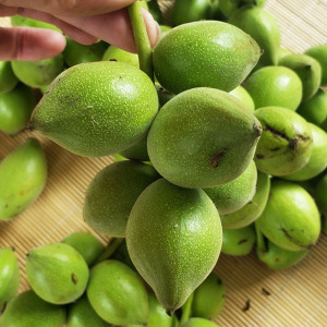 长白山野生山核桃青果东北入伏采摘未成熟的青核桃中药材泡酒500g
