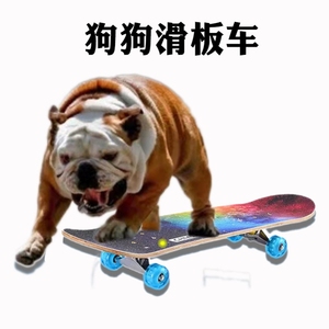 泰迪滑板车经典滑板车狗滑板车小型玩具法斗专用狗滑板带发光平板
