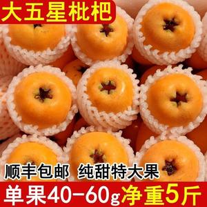 四川大五星枇杷特大果当季新鲜甜枇杷米易琵琶水果高山小核枇杷果