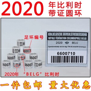 2020年信鸽足环2019足环带证比利时外籍环赛鸽子脚环用品用具包邮