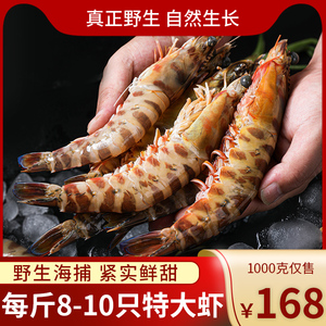 九节虾竹节虾基围虾鲜活速冻斑节虾野生大虾海虾1kg超大海鲜包邮