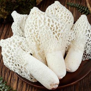 竹荪菌新鲜云南菌菇鲜竹荪花蘑菇菌类火锅煲汤食材鲜竹笙竹花500g