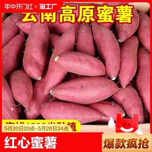 正宗沙地云南高山蜜薯红心红薯地瓜番薯农家自种糖心小香薯5斤9斤