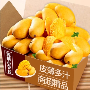 海南小台芒新鲜10小芒果整箱应季特产水果小台农芒果大果甜斤现摘