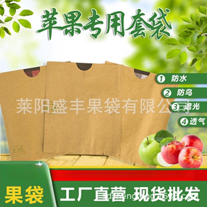 梨子套袋专用水果保护袋苹果袋单层双层纸袋防水防虫奈李果袋保鲜