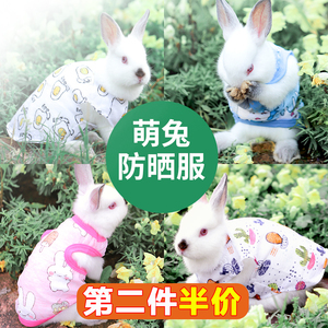 兔子衣服夏天专用小宠物幼兔荷兰猪垂耳兔兔兔用品装饰穿的小饰品
