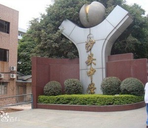 沙头中学校服番禺区市桥初中男女生春秋外套加厚保暖纯棉校服包邮