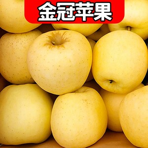富士黄金帅苹果