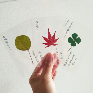 四叶草标本 真草书签干花植物制作 天然叶子封塑认识植物过塑树叶