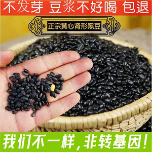 肾形黑豆 小粒农家自种老品种非转基因黄芯黑小豆打豆浆发豆芽5斤