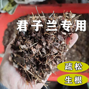 精品腐叶土君子兰土专用土营养松针腐熟橡树叶透气生根盆栽种植土