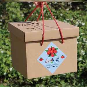 圣女果包装箱小番茄水果包装箱圣女果箱子礼品箱礼品盒包装盒