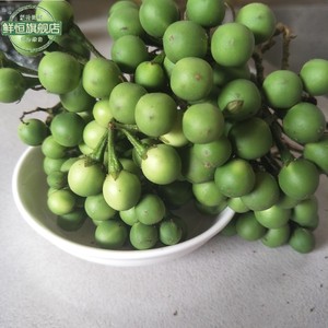 云南瑞丽特色 野生苦子蔬菜新鲜小苦子果1斤苦茄撒苤苦水苦果油煎