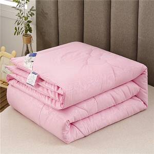 冬天被子加厚保暖冬被200x20被芯10斤冬季大学宿舍棉被垫被棉絮