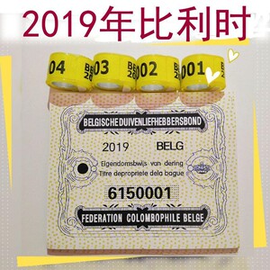 足环带证比利时2019年用具环中鸽子信鸽用品环赛鸽脚鸽协脚圈外籍