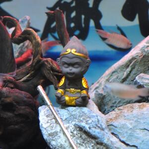 鱼缸造景孙悟空鱼缸装饰摆件 大话西游月光宝盒 定海神针造景套餐