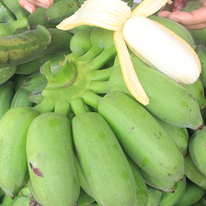 广西新鲜小米蕉banana应季新鲜水果生青香蕉净重9斤包邮10