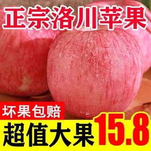 洛川苹果红富士新鲜水果整箱10斤当季陕西特大果脆甜粉面老树