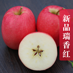 瑞香红苹果小果同城新鲜当季水果红富士果园现摘直发4斤