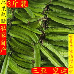 现摘绿色龙豆海南三亚新鲜热带四角豆蔬菜四棱豆 帝皇豆 空运包邮
