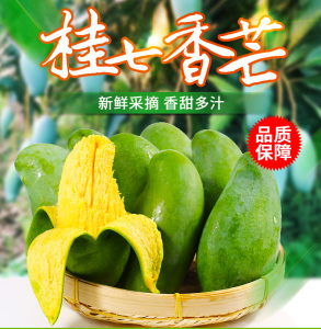 百色_百色学院_百色市