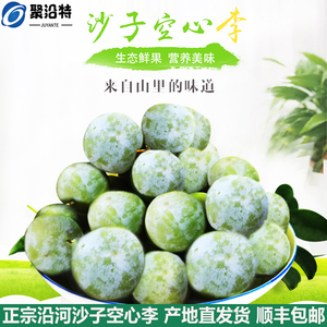 【地标特产】贵州沿河沙子空心李 新鲜现摘脱骨李子5斤装顺丰包邮