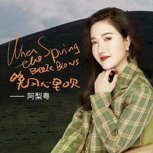 阿梨粤专辑精选新歌 晚风心里吹 网络流行车载无损音乐cd碟片光盘