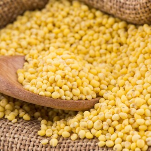 超粘陕西大黄米新米粘糯黄小米黏黄糯米包粽子黄软米5斤优质