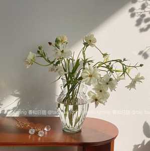 春和日丽 ins风小清新双耳透明玻璃花瓶大口径家用插花水培花器