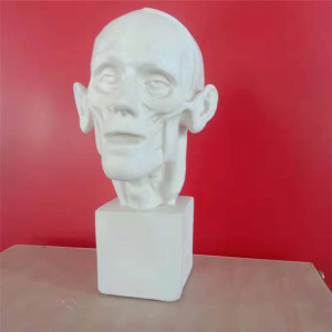 美术写生教具解剖2头像高42cm厂家直销 扒皮人石膏头像胸像挂面像