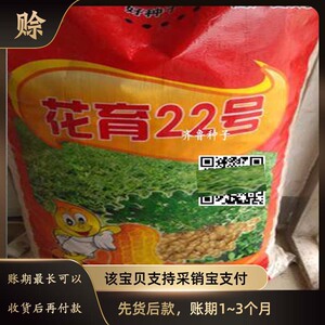 花生种子花育22花育16白沙1016 308鲁花18吨花一号罗汉果鲁花9号
