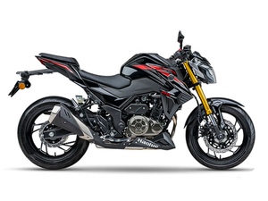 豪爵铃木摩托车.hj300,dr300摩托车,国四电喷可以上牌.