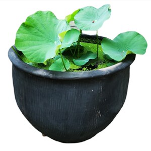 包邮老北京土陶鱼缸泥瓦盆养金鱼荷花睡莲老盆大水缸无釉客厅陶瓷