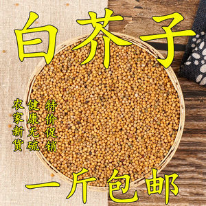 【芥子茶】芥子茶品牌,价格 阿里巴巴