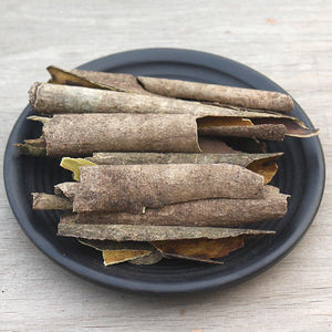 广西新品中药材救必应500g博皮正品龙胆木皮精选自然树皮自晒