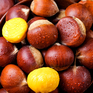 生板栗2021年板栗 生 新鲜农家现摘生栗子5斤装油栗3板栗毛栗香甜