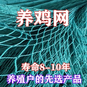 鸡网围栏家用养殖网塑料拦网拦鸡网网子鸡舍养鸡棚网箱养殖场室外