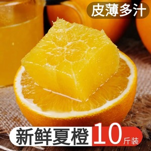 正宗夏橙橙子新鲜10斤大果当季时令赣南水果手剥冰糖甜橙整箱脐橙