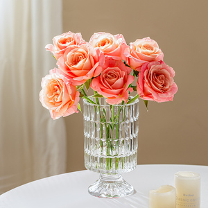 轻奢小花瓶插花摆件客厅现代简约玻璃高级感鲜花创意桌面网红爆款