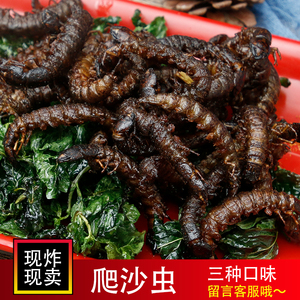 油炸爬沙虫水蜈蚣土参烧烤食材虫子野生特产虫参下酒菜昆虫宴
