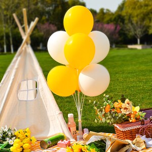 野餐气球户外野餐装饰道具用品网红春游野炊场景布置拍照道具