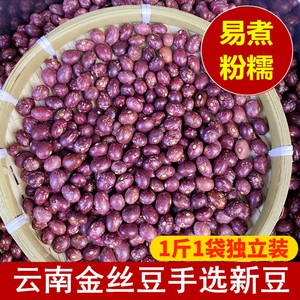 云南金丝豆500g 雀蛋豆饭豆农家自产红花芸豆五谷杂粮豆类特产