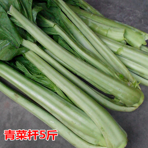 四川蔬菜新鲜青菜芥菜青菜杆麻辣儿菜娃娃菜抱儿菜牛皮菜5斤装
