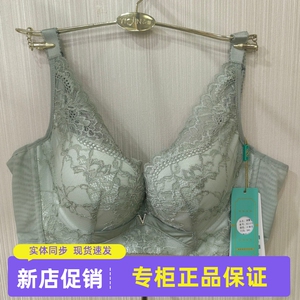 正品衣馨文胸821035记忆钢圈中厚BC杯聚拢收副乳防外扩调整型内衣